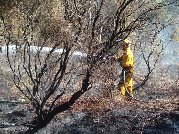 Taupo Rural Fire Force attended a fire at Spa Park at 3.30am on the morning of Easter Monday